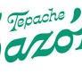 Tepache Sazon Pina (375)